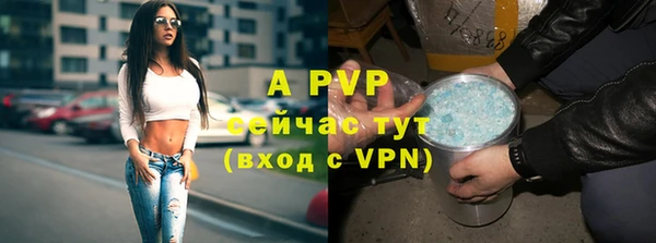 ECSTASY Армянск