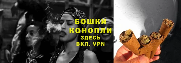 СК Аркадак