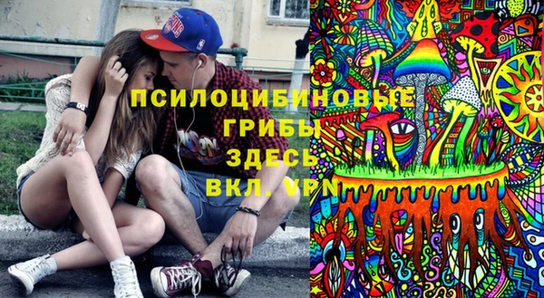 СК Аркадак
