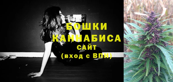 СК Аркадак