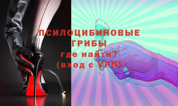 ECSTASY Армянск