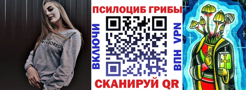 где можно купить   Серов  Псилоцибиновые грибы Cubensis 