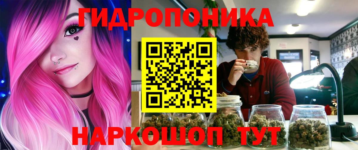 Канабис сатива  Марихуана индика  Бошки Шишки MAZAR  Серов  Вход с VPN 
